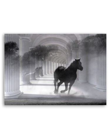 Leinwandbild - Pferd im Galopp 3D Tunnel | Feeby