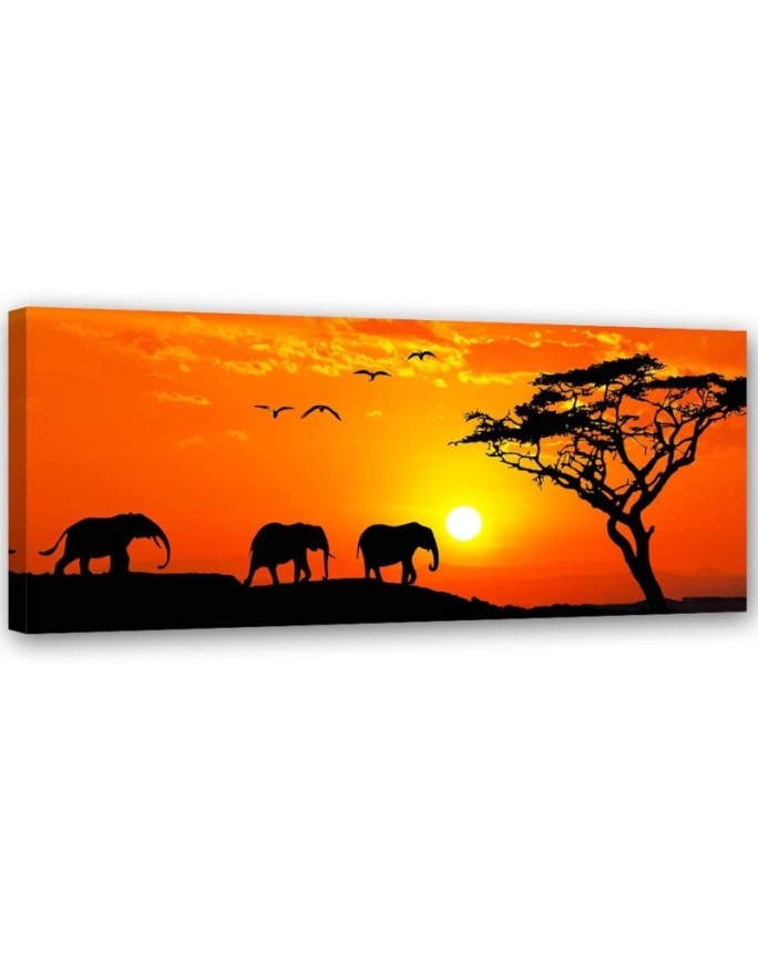 Bild auf Leinwand - Panorama der Savanne in Afrika | Feeby