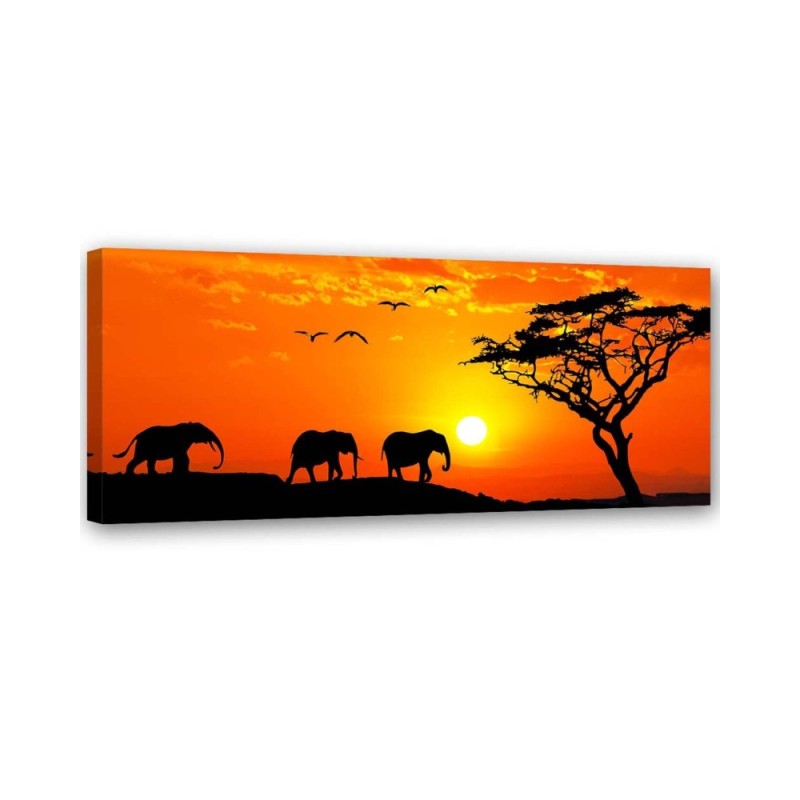 Bild auf Leinwand - Panorama der Savanne in Afrika | Feeby
