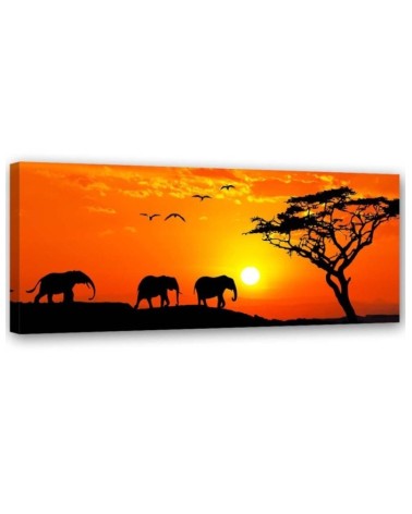 Canvas prints for living room on canvas - Elephant sunset savannah | FEEBY