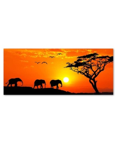 Bild auf Leinwand - Panorama der Savanne in Afrika | Feeby