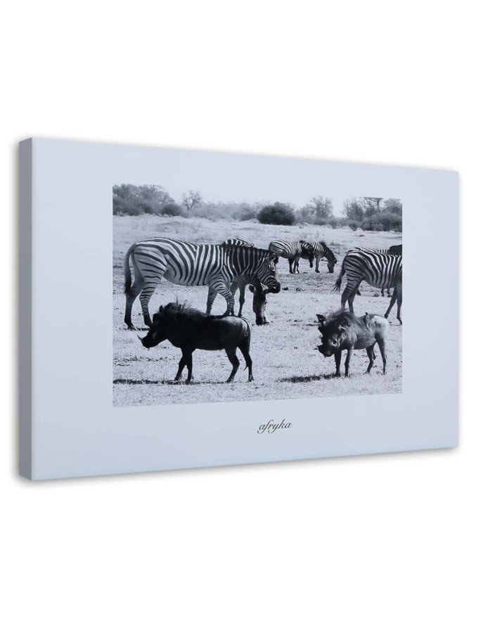 Bild auf Leinwand - Afrika - Zebras in der Savanne | Feeby