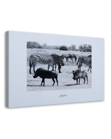 Wall art painting for office - Africa zebra on savannah | FEEBY