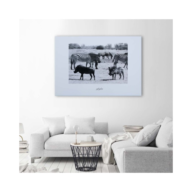 Bild auf Leinwand - Afrika - Zebras in der Savanne | Feeby