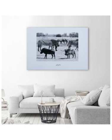 Bild auf Leinwand - Afrika - Zebras in der Savanne | Feeby