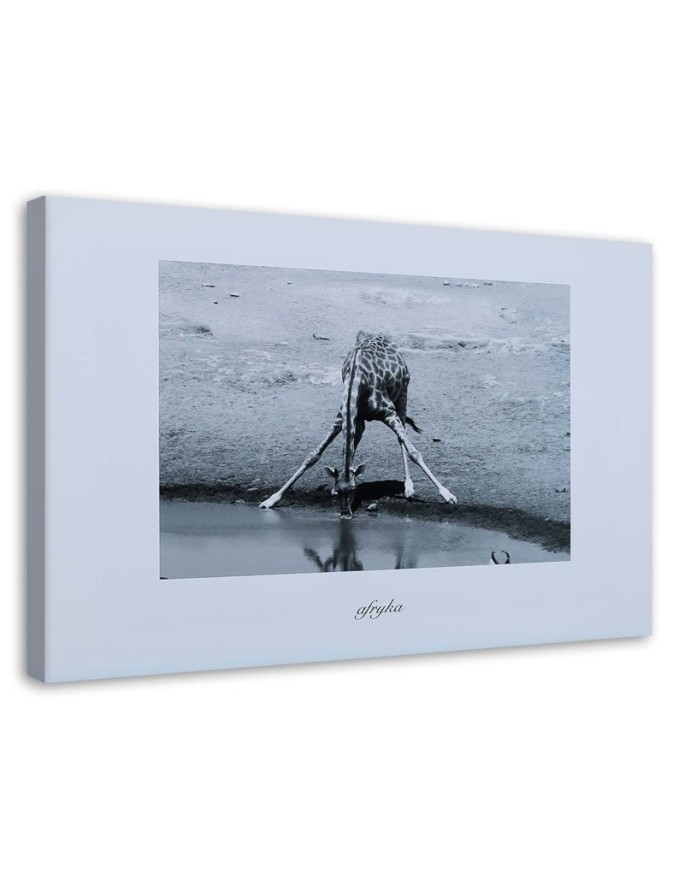 Bild auf Leinwand - Afrika - Giraffe an einer Wasserstelle | Feeby