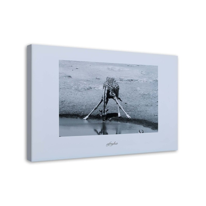 Bild auf Leinwand - Afrika - Giraffe an einer Wasserstelle | Feeby