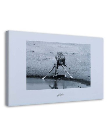 Bild auf Leinwand - Afrika - Giraffe an einer Wasserstelle | Feeby