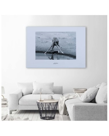 Bild auf Leinwand - Afrika - Giraffe an einer Wasserstelle | Feeby