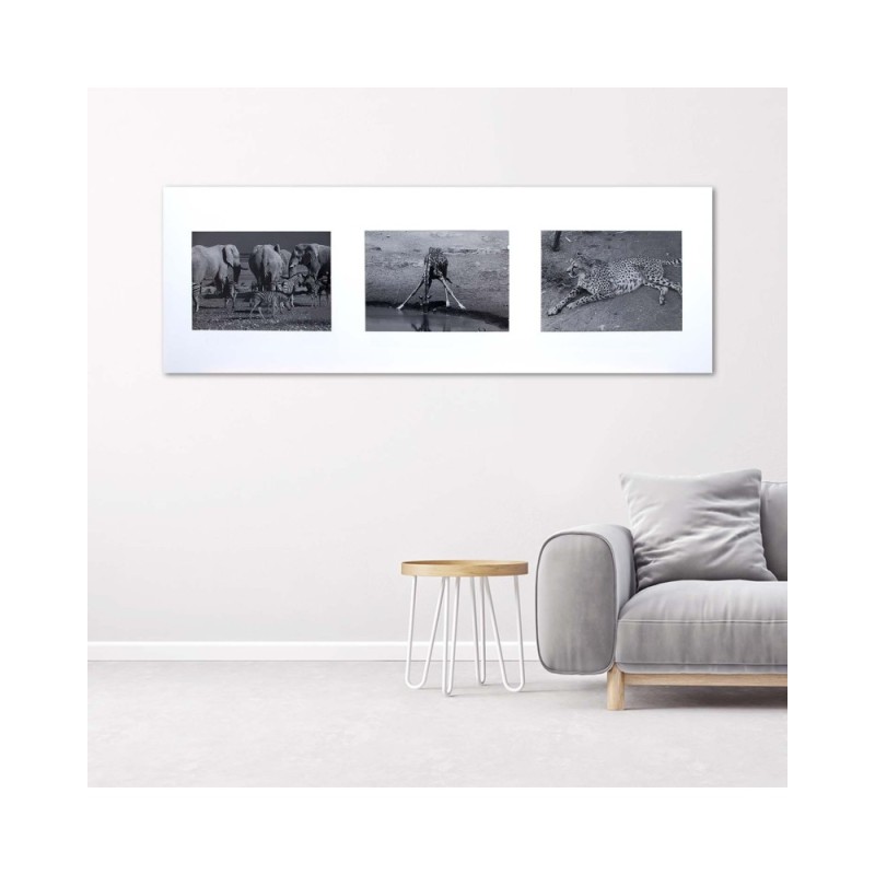 Bild auf Leinwand - Collage Tiere aus Afrika | Feeby