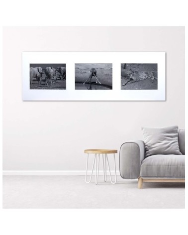 Bild auf Leinwand - Collage Tiere aus Afrika | Feeby