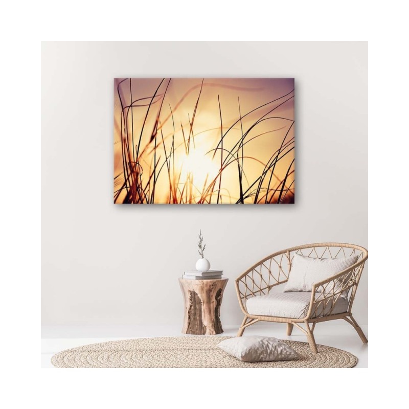 Leinwandbild - Gras im Sonnenschein | Feeby