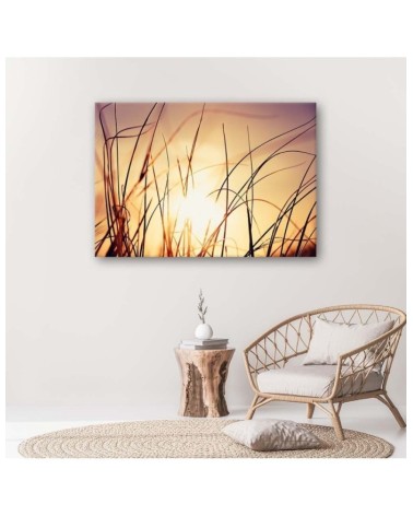 Leinwandbild - Gras im Sonnenschein | Feeby