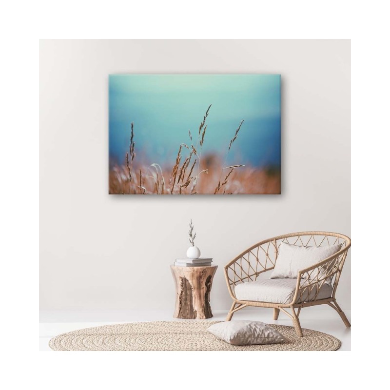 Bild auf Leinwand - Grashalme | Feeby