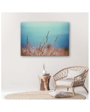 Bild auf Leinwand - Grashalme | Feeby