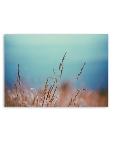 Bild auf Leinwand - Grashalme | Feeby