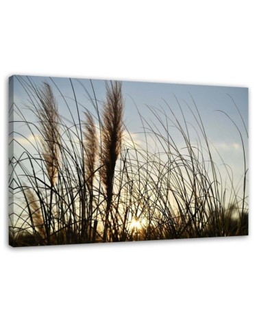 Large canvas painting for room - Reed in the sun, nature | FEEBY