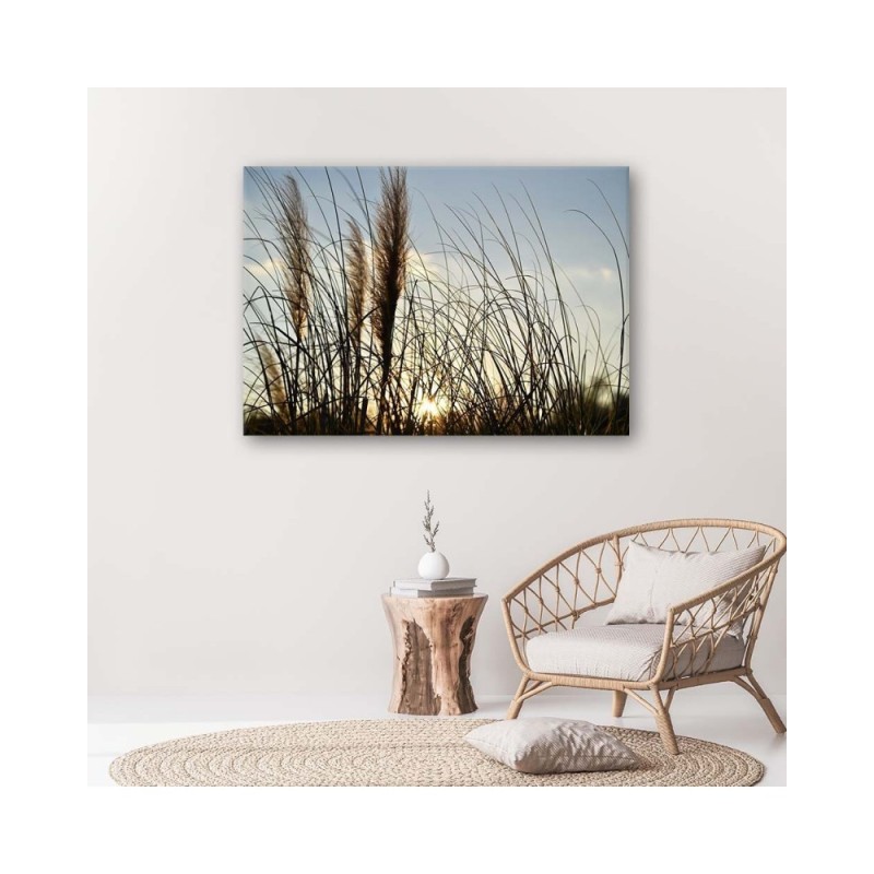 Leinwandbild modern - Schilf in der Sonne | Feeby