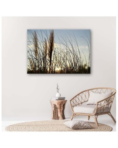 Leinwandbild modern - Schilf in der Sonne | Feeby