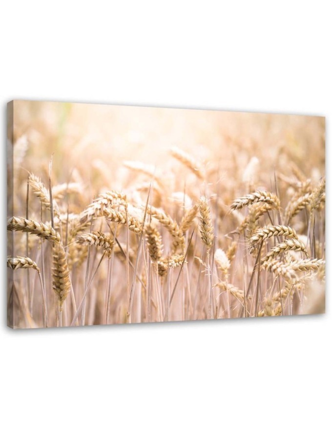 Leinwandbild - Müsli in der Sonne | Feeby