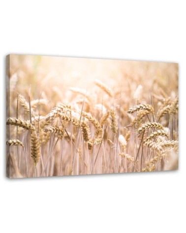 Wall art decoration painting for living room - Grain in the sunshine | FEEBY