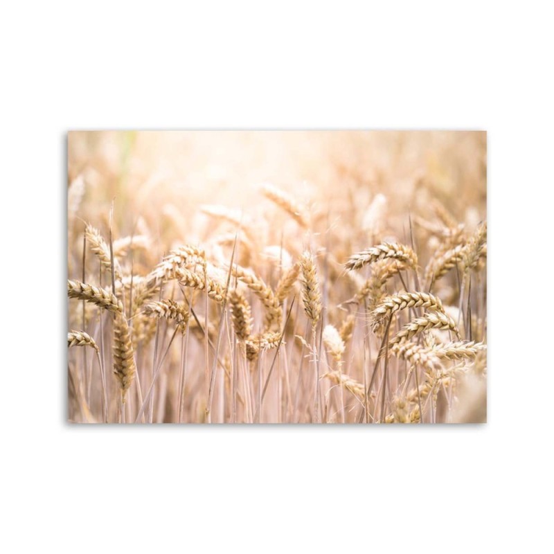 Leinwandbild - Müsli in der Sonne | Feeby