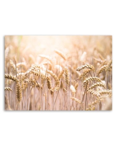 Leinwandbild - Müsli in der Sonne | Feeby