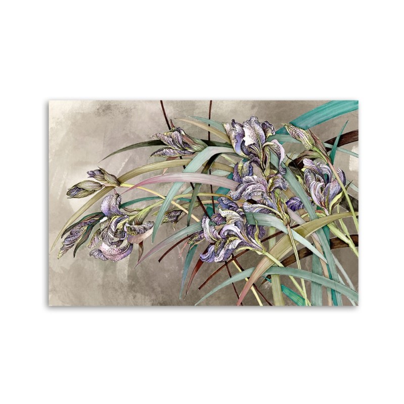 Leinwandbild - Iris Blumen im Wind | Feeby