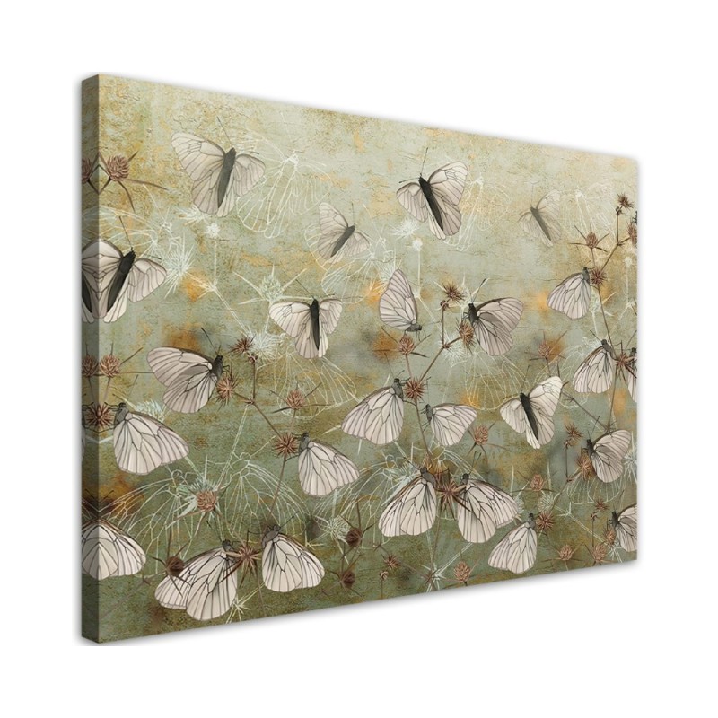 Leinwandbild - Boho Schmetterlinge in der Wiese | Feeby