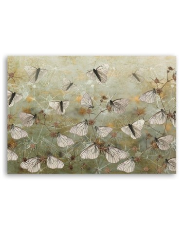 Leinwandbild - Boho Schmetterlinge in der Wiese | Feeby