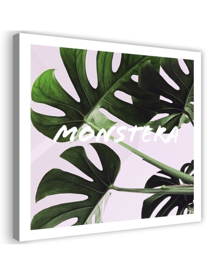Dekoratives Leinwandbild - Monstera Exotische Blätter | Feeby