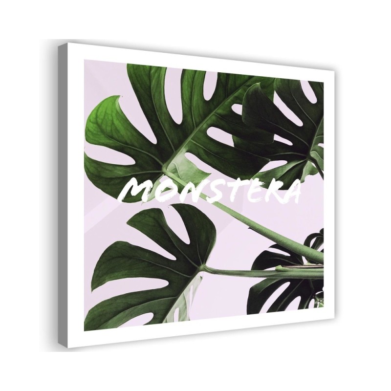 Dekoratives Leinwandbild - Monstera Exotische Blätter | Feeby