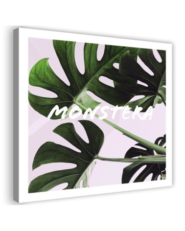 Dekoratives Leinwandbild - Monstera Exotische Blätter | Feeby
