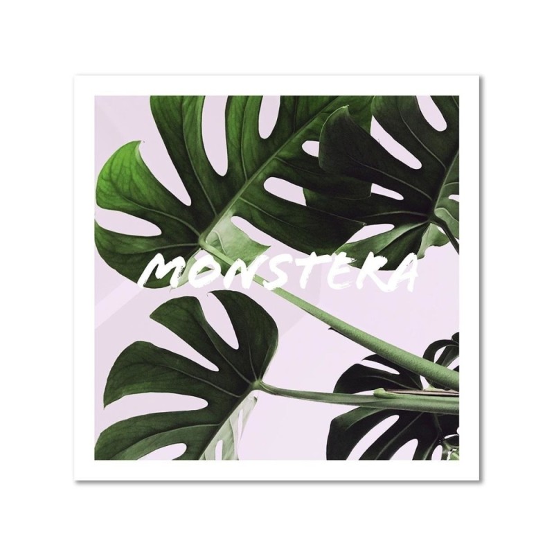 Obraz do kuchni na płótnie - Liście monstera