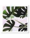 Obraz do kuchni na płótnie - Liście monstera