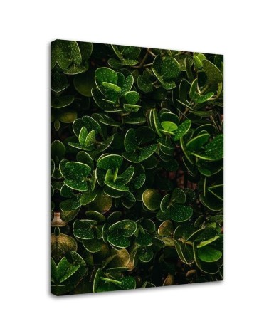 Wall art painting for room - Green exotic leaves plants nature | FEEBY