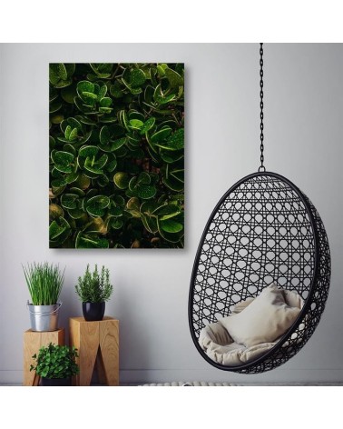 Obraz ścienny do pokoju - Zielone egzotyczne liście rośliny natura