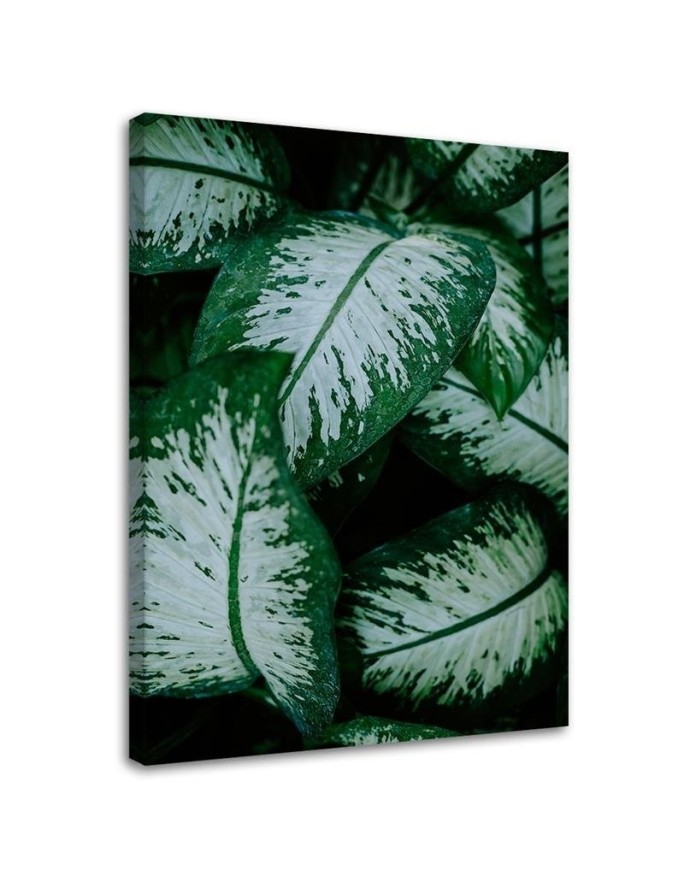 Leinwandbild - Tropische Blätter Grün | Feeby