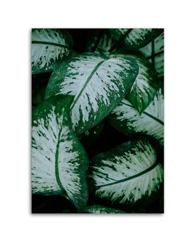 Leinwandbild - Tropische Blätter Grün | Feeby