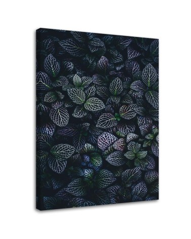 Bild auf Leinwand - Blätter Exotische Pflanzen | Feeby