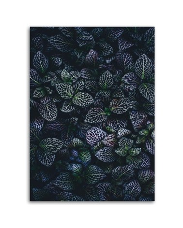 Bild auf Leinwand - Blätter Exotische Pflanzen | Feeby