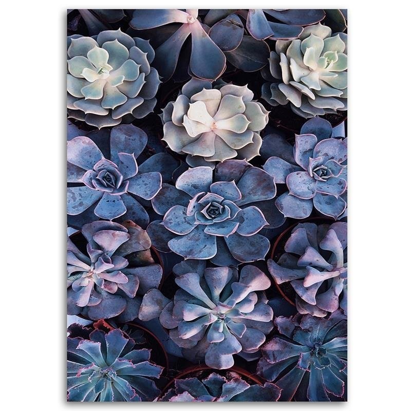 Elegancki obraz na płótnie - Kwiat sukulentu natura