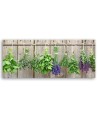 Canvas prints for kitchen wall - Herbs spices | FEEBY