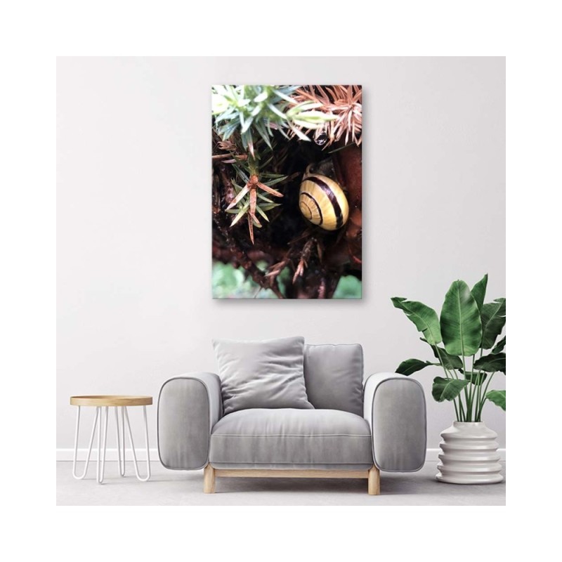 Modernes Wandbild - Versteck einer Schnecke | Feeby