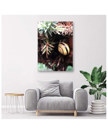 Modernes Wandbild - Versteck einer Schnecke | Feeby
