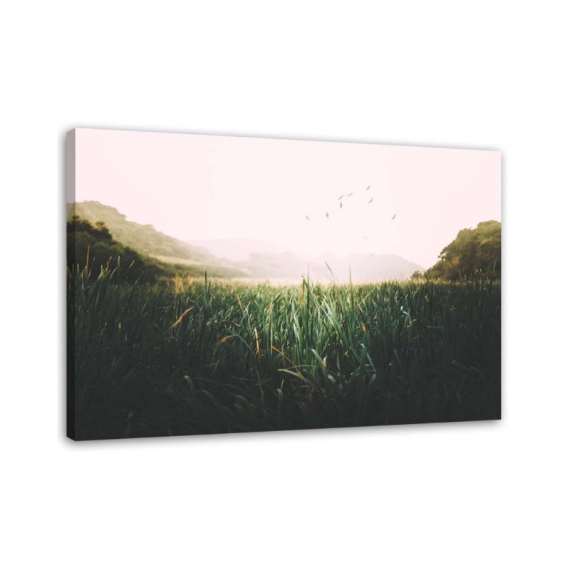 Leinwandbild - Vögel in einem Feuchtgebiet | Feeby