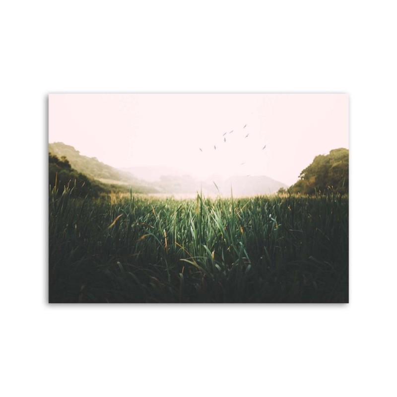 Leinwandbild - Vögel in einem Feuchtgebiet | Feeby