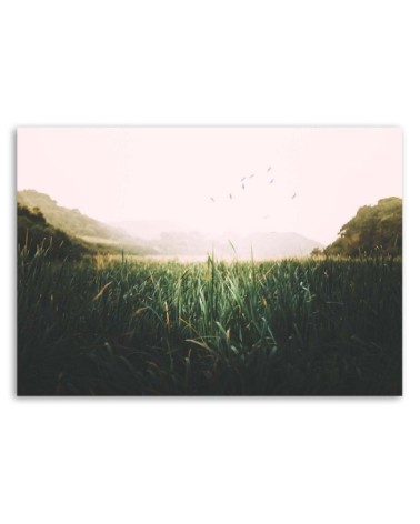 Leinwandbild - Vögel in einem Feuchtgebiet | Feeby