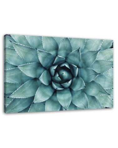 Modern Canvas painting for bathroom - Blue aloe vera | FEEBY