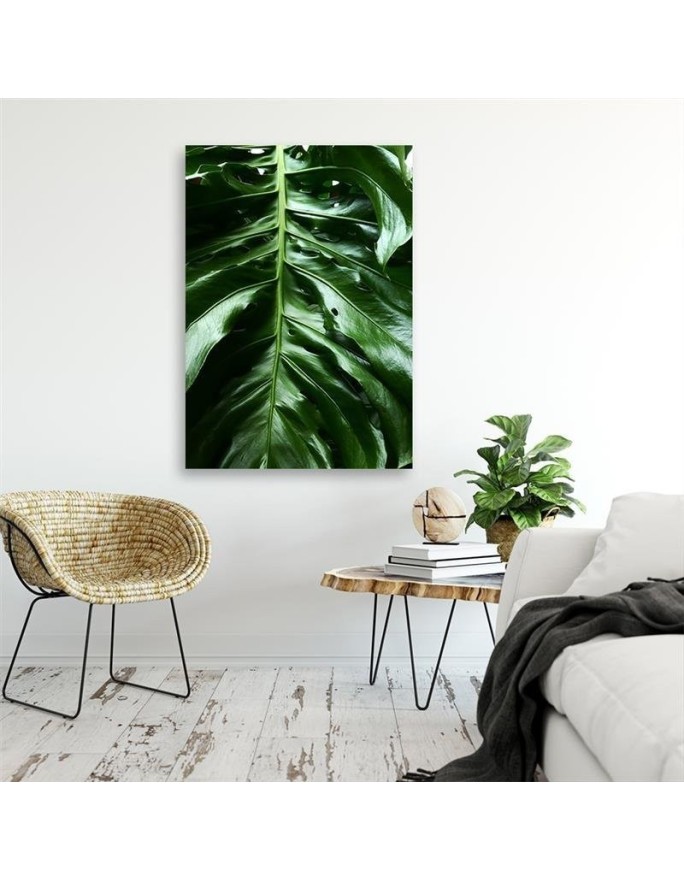 Obrzay do pokoju - Monstera liście rośliny
